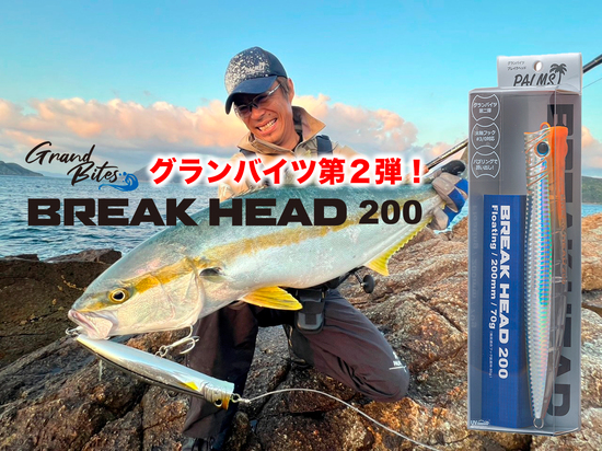 new_brakehead200.jpg